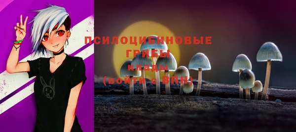 твердый Мегион
