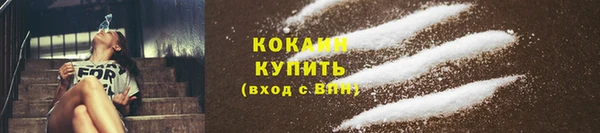 индика Михайлов