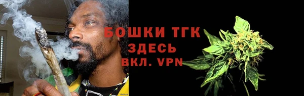 индика Михайлов