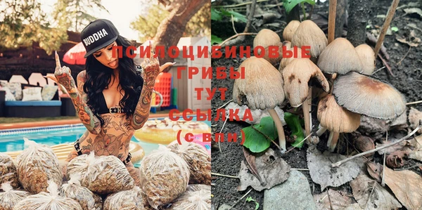 прущие крисы Михайловск