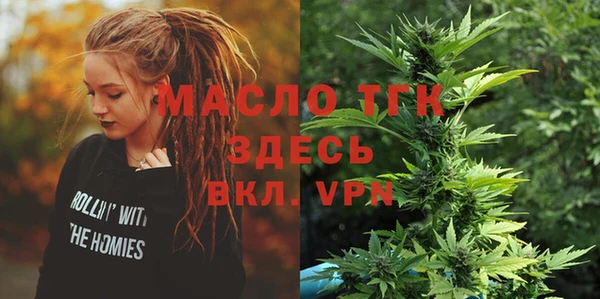 твердый Мегион