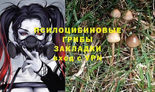 твердый Мегион