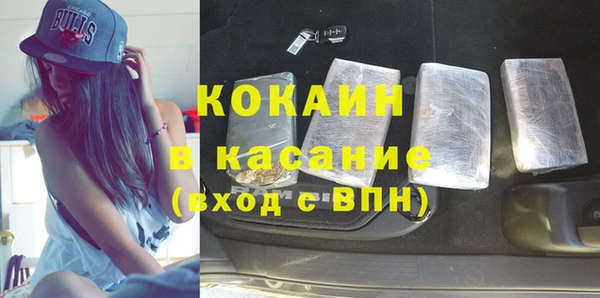 твердый Мегион