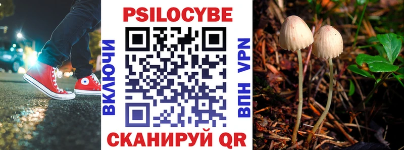 Псилоцибиновые грибы ЛСД  Юрьевец 
